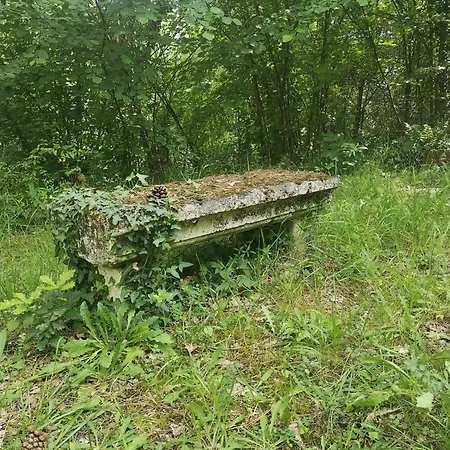 La Montagne Sud * Allemans